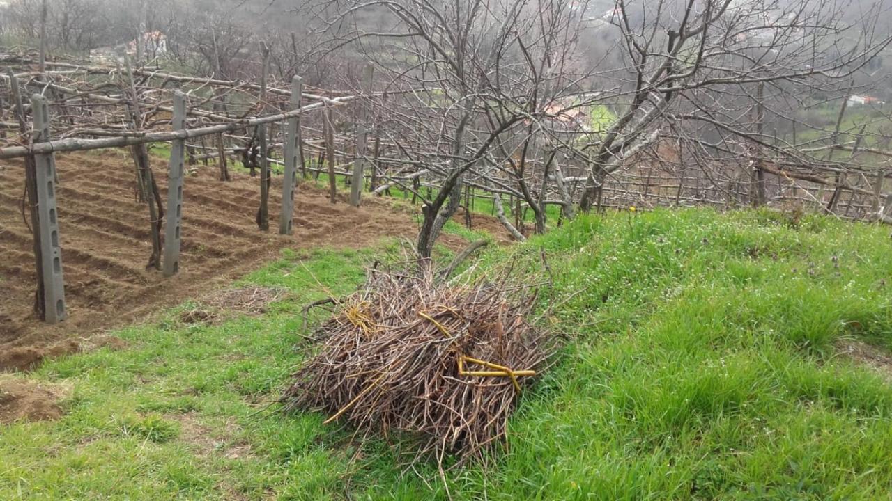 Villa La Casa in Vigna Tramonti Esterno foto
