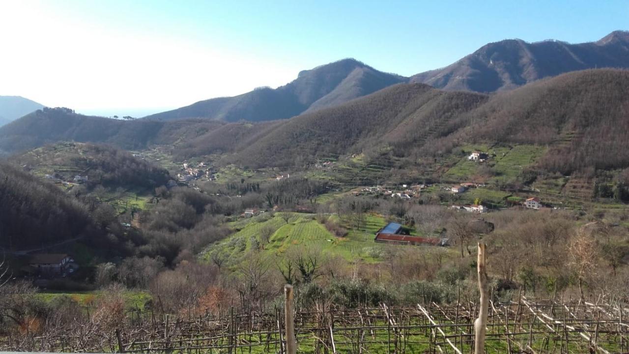 Villa La Casa in Vigna Tramonti Esterno foto